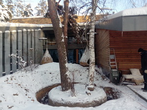 Пересадка деревьев (крупномеров)